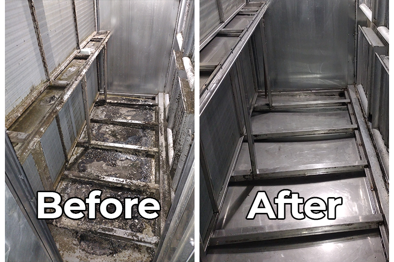 Before After Image 1