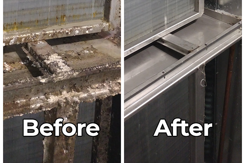Before After Image 3