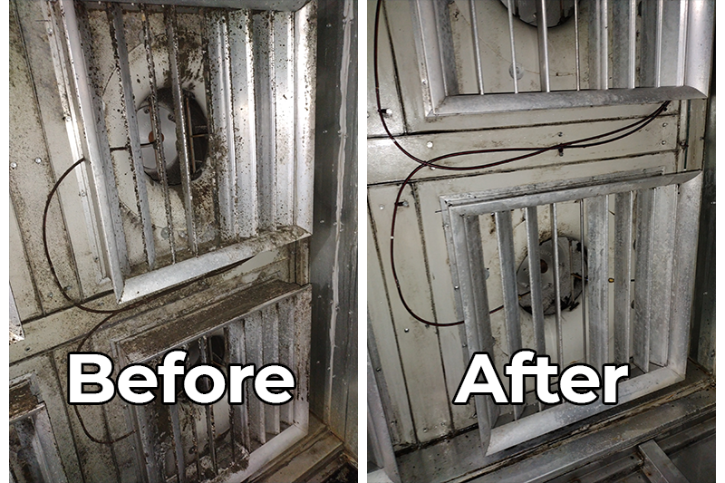 Before After Image 3