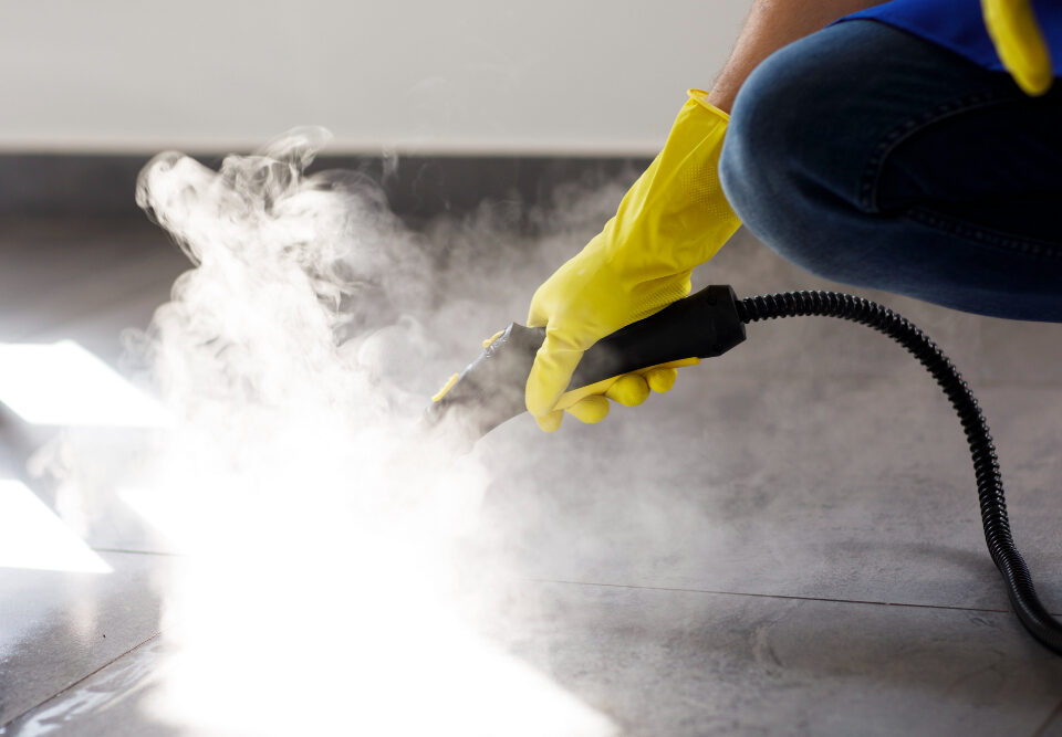 Steam Cleaning to kill Mold