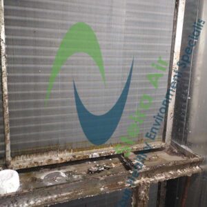 Dirty HVAC coils showing buildup of grime and debris, representing the need for steam coil cleaning services by Steira Air.