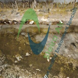 Dirty HVAC coils showing buildup of dirt and grime, with Steira Air logo, illustrating the need for eco-friendly steam cleaning services to improve air quality and equipment longevity.
